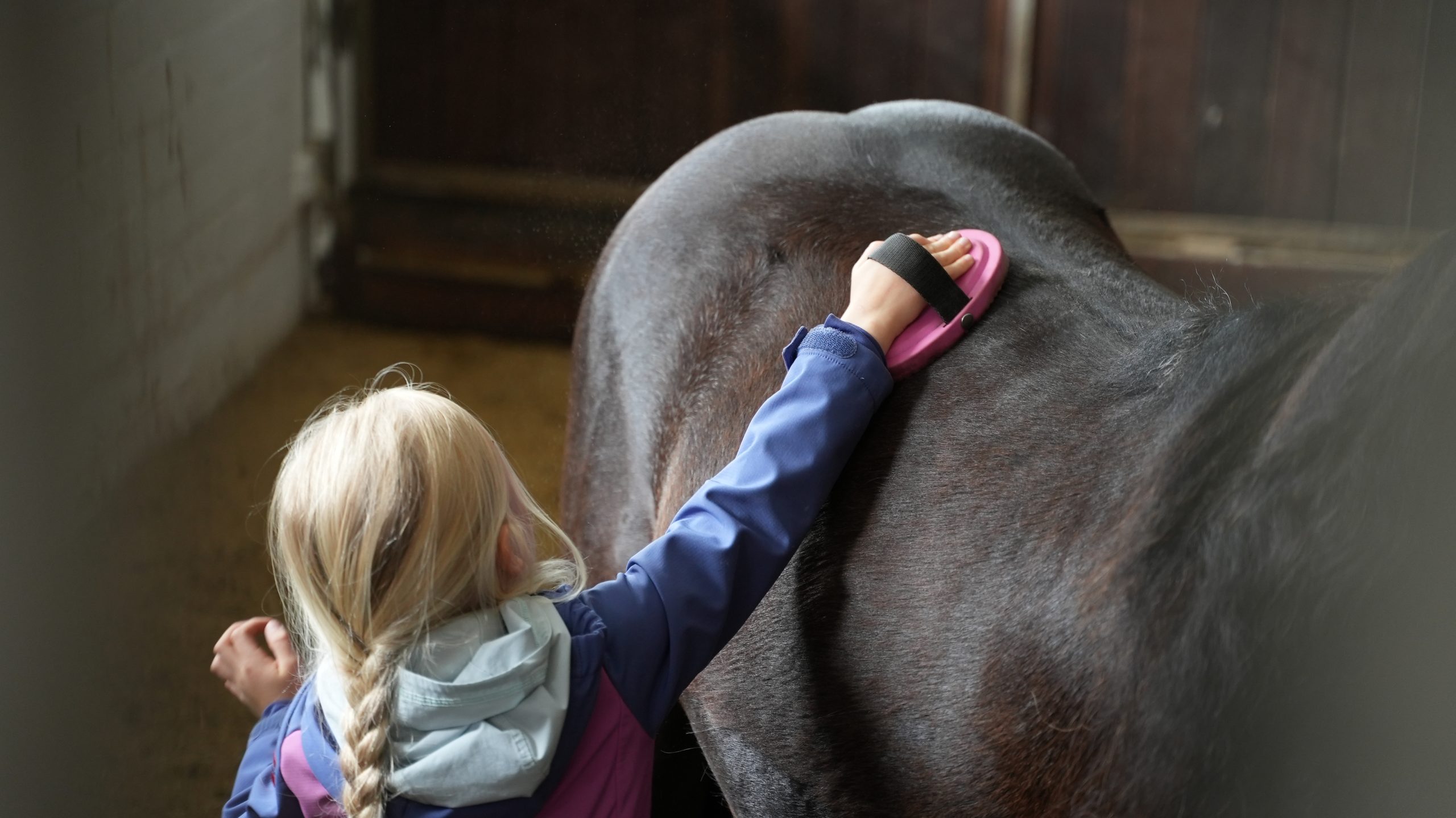 				<p class="black font-xl">SCHRITT FÜR SCHRITT REITEN LERNEN.</p>					
