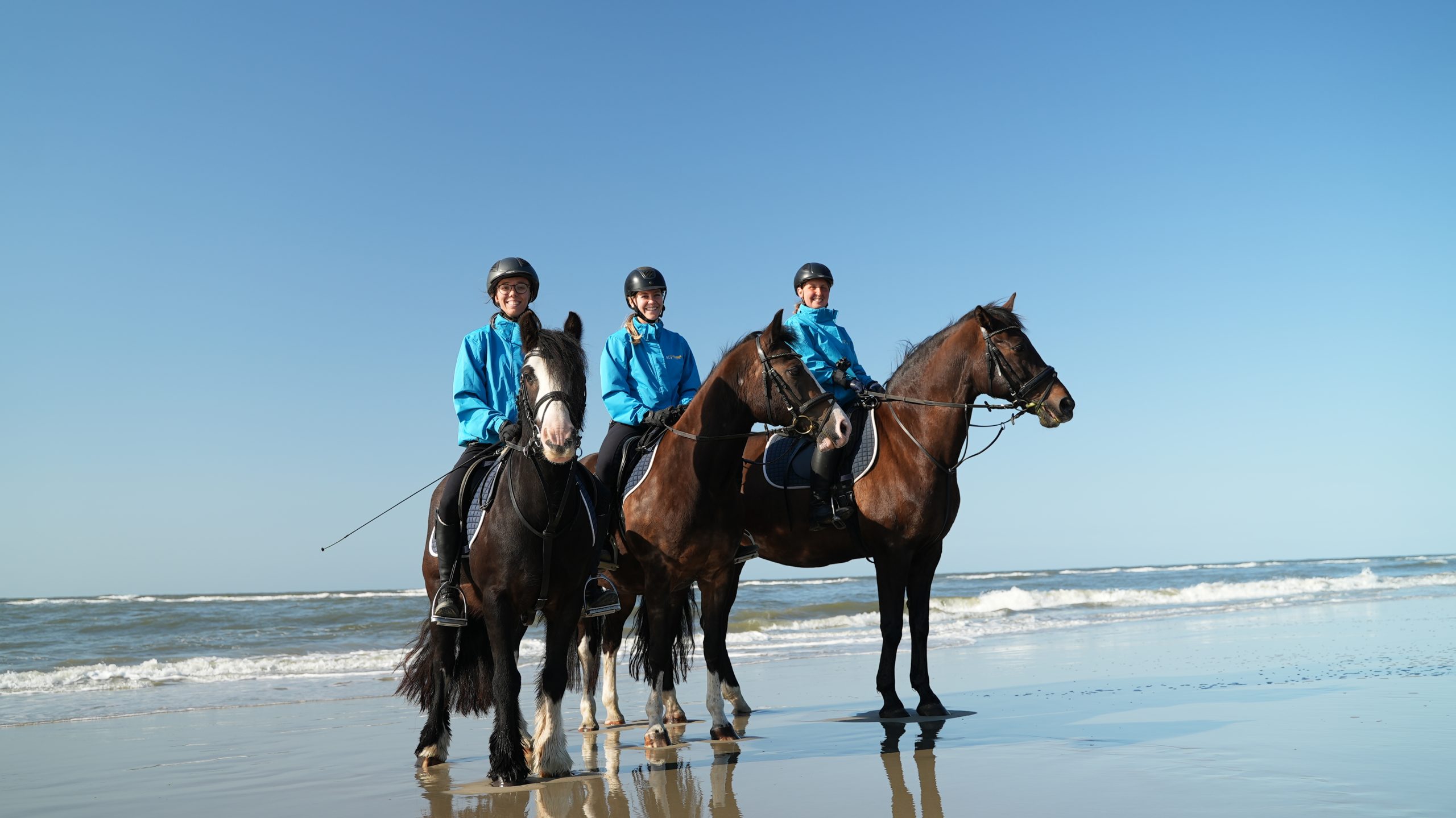 <p class="black font-xl">WILL­­KOMMEN <br />IM REITSTALL BORKUM</p>